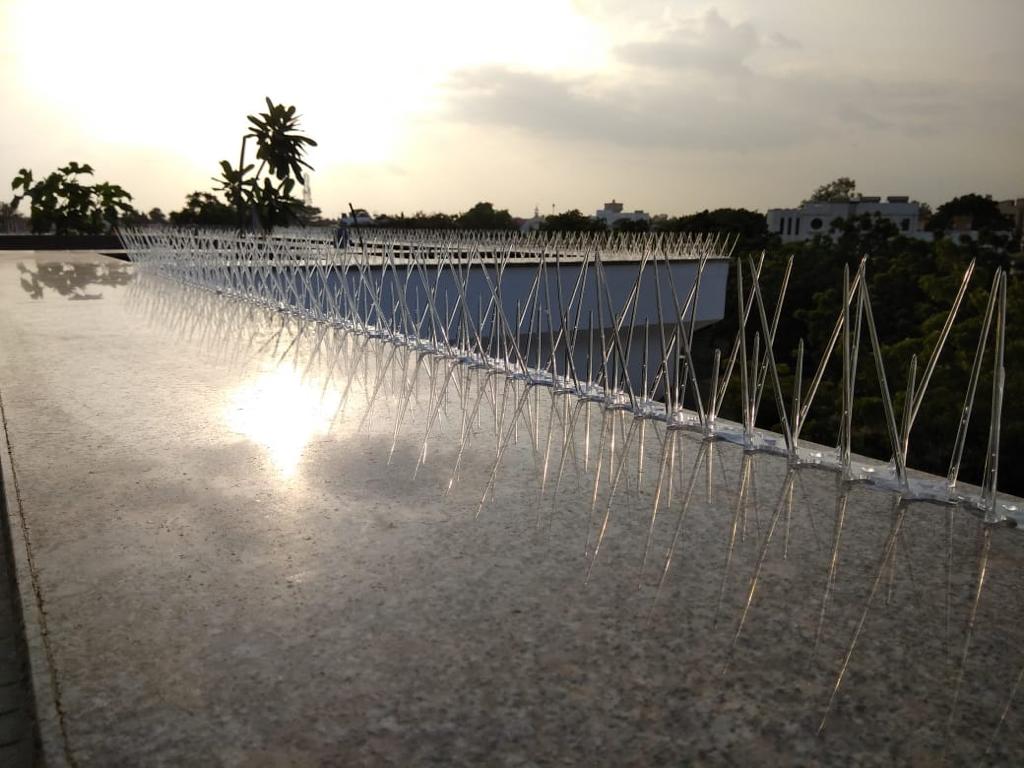 Bird Spikes